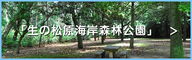 生の松原海岸森林公園